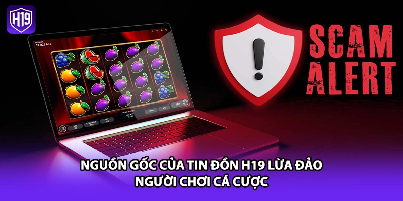 Nguồn gốc của tin đồn H19 lừa đảo người chơi cá cược